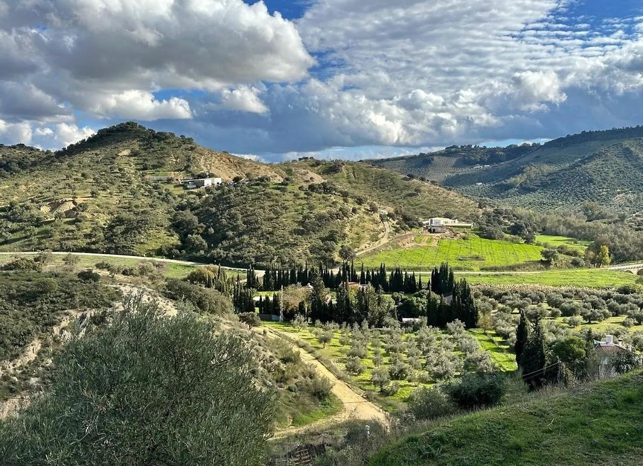 Casita Higo Villa Olvera Spanien