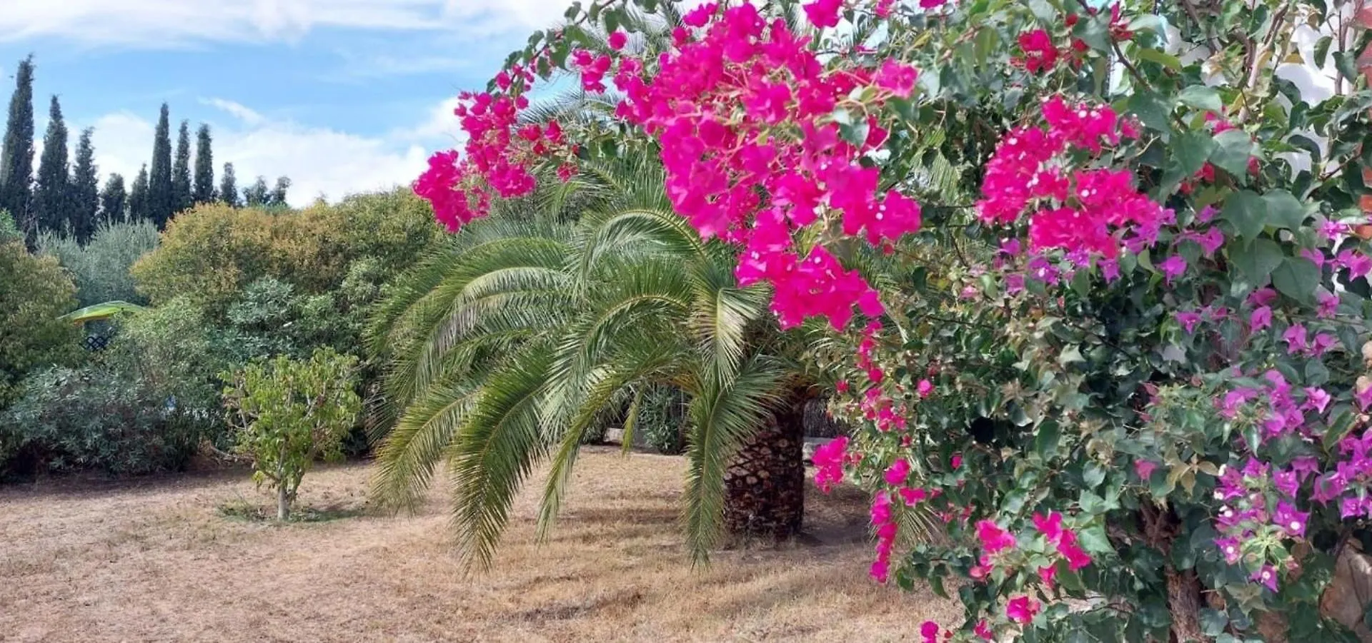 Holiday home Casita Higo Villa Olvera