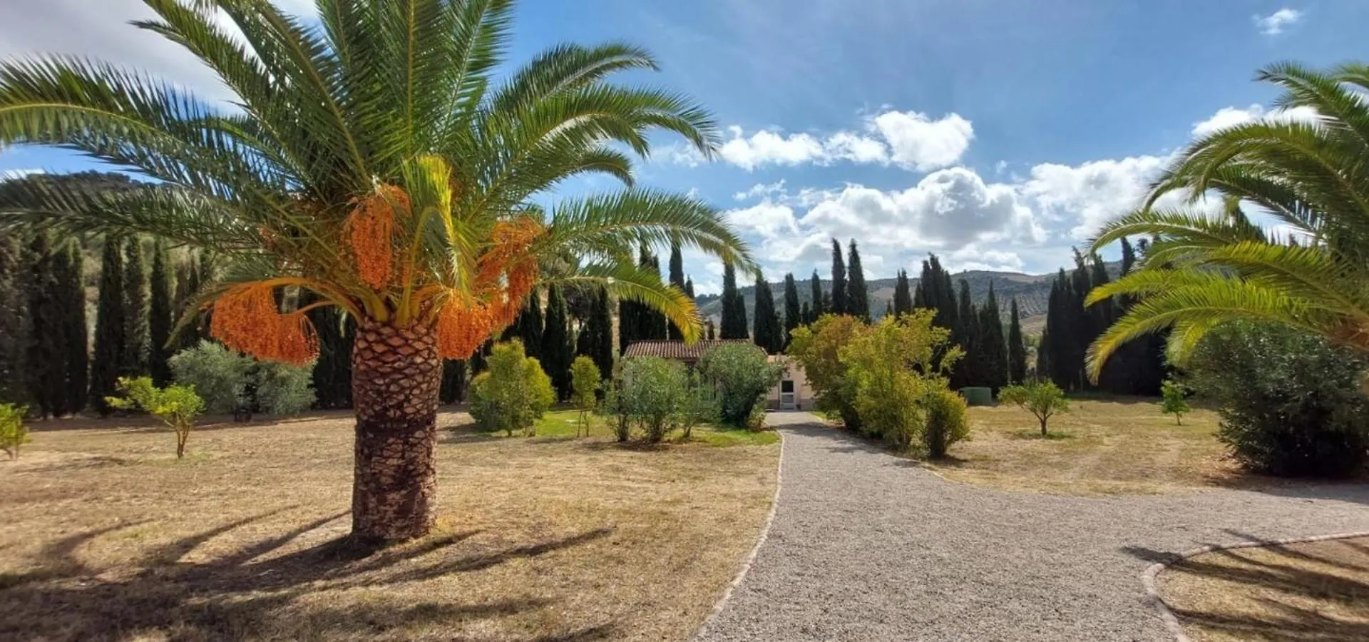 Casita Higo Villa Olvera Spain